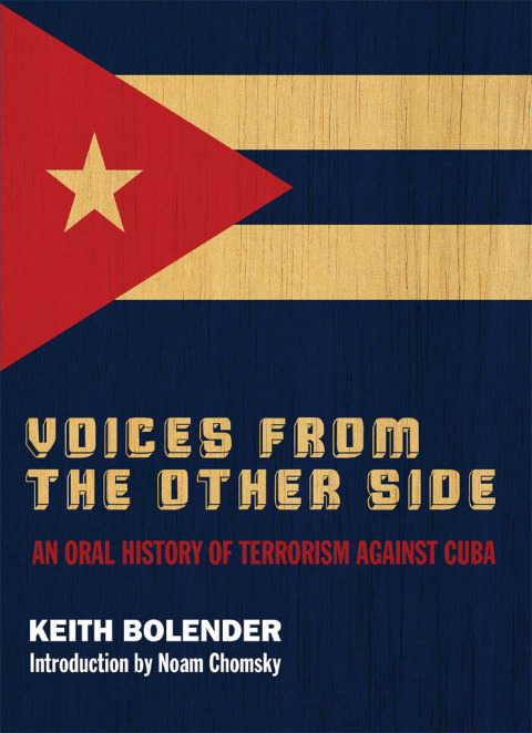 Cover image for book Voices From the Other Side