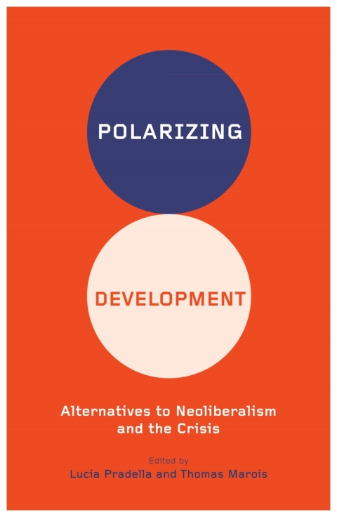 Cover image for book Polarizing Development