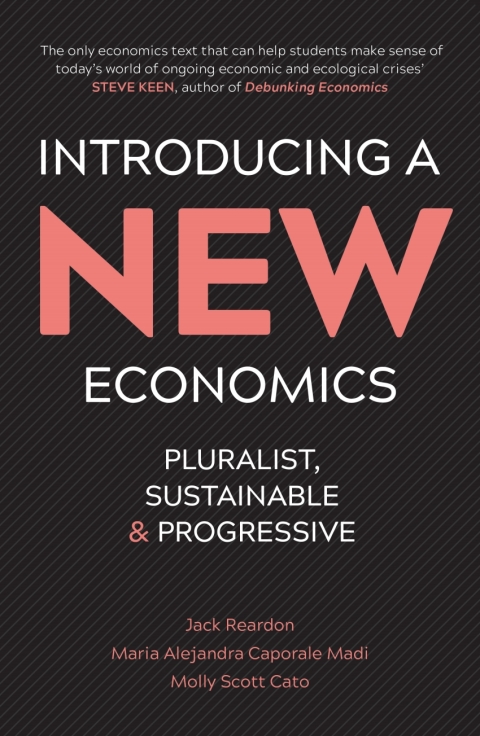 Cover image for book Introducing a New Economics