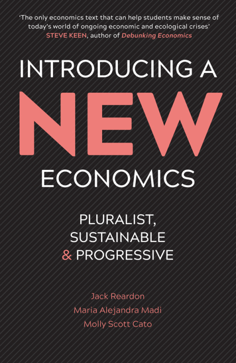 Cover image for book Introducing a New Economics