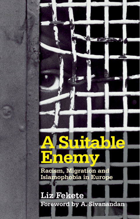 Cover image for book A Suitable Enemy