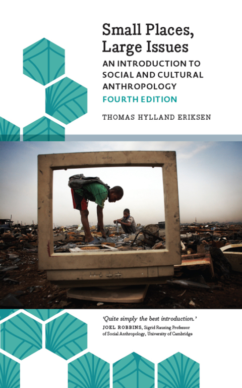 Cover image for book Small Places, Large Issues