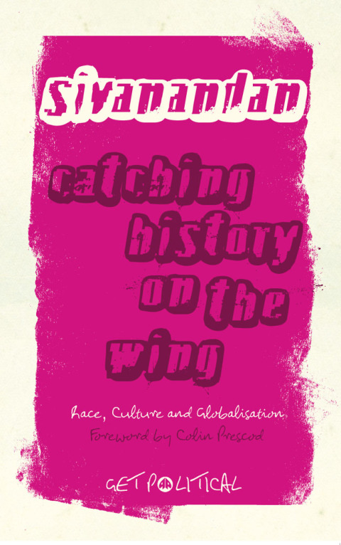 Cover image for book Catching History on the Wing