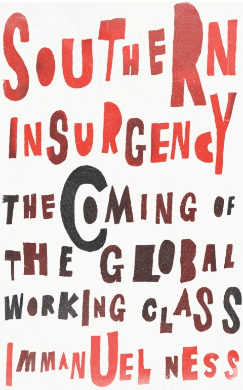 Cover image for book Southern Insurgency