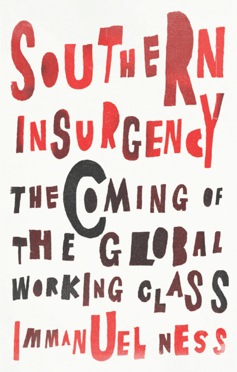 Cover image for book Southern Insurgency