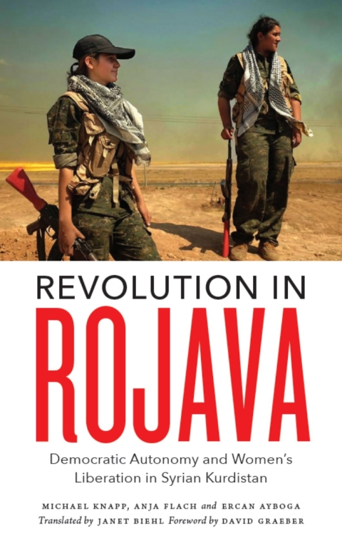 Cover image for book Revolution in Rojava