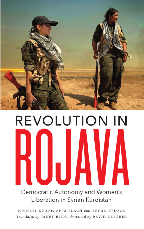 Cover image for book Revolution in Rojava