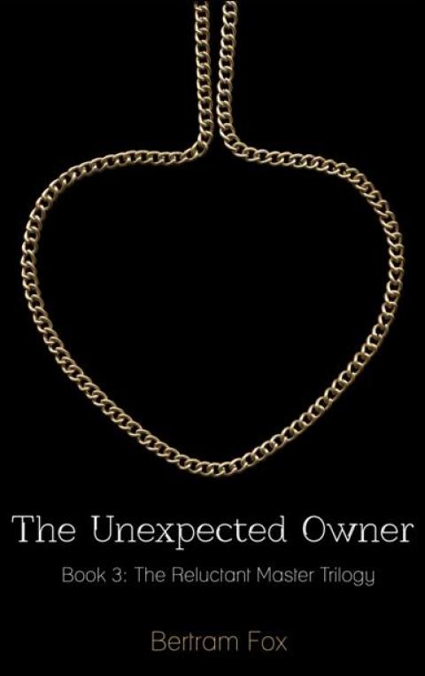 Cover image for book The Unexpected Owner