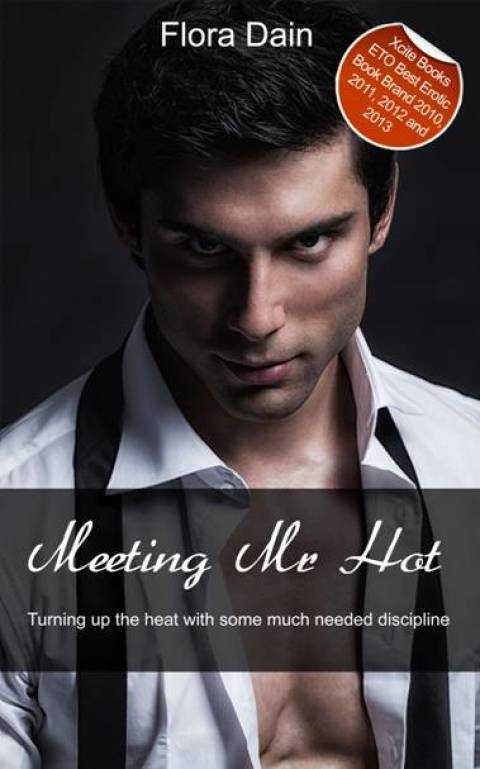 Cover image for book Meeting Mr Hot