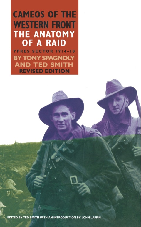 Cover image for book The Anatomy of a Raid