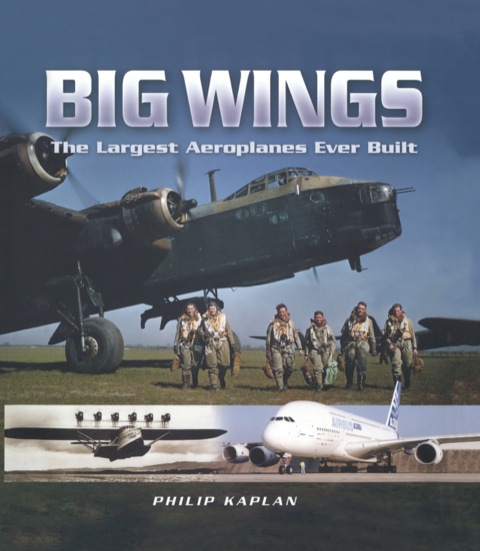 Cover image for book Big Wings