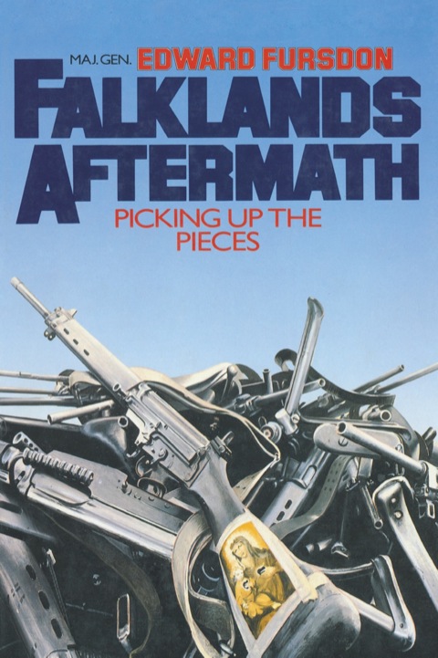 Cover image for book Falklands Aftermath