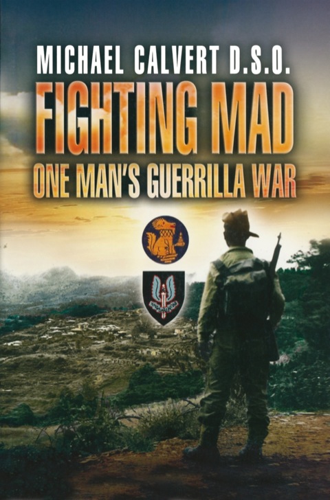 Cover image for book Fighting Mad