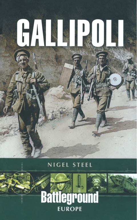 Cover image for book Gallipoli