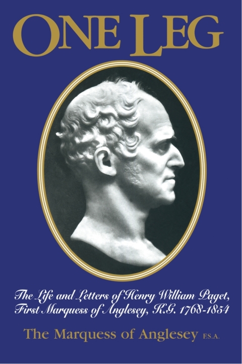 Cover image for book One Leg