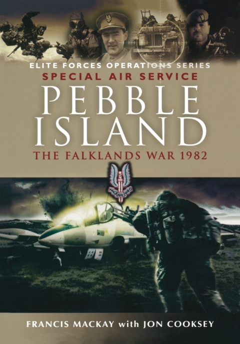 Cover image for book Pebble Island