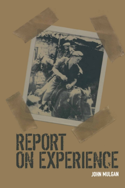 Cover image for book Report on Experience