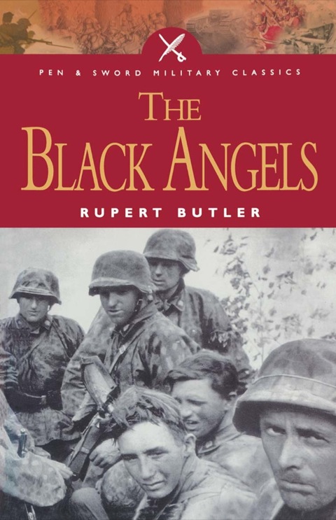 Cover image for book The Black Angels