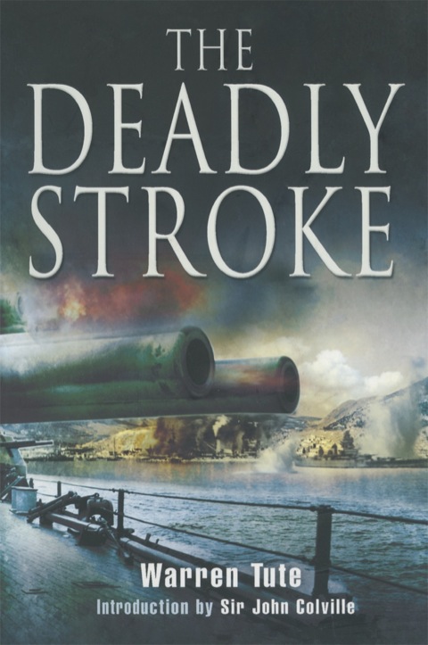 Cover image for book The Deadly Stroke