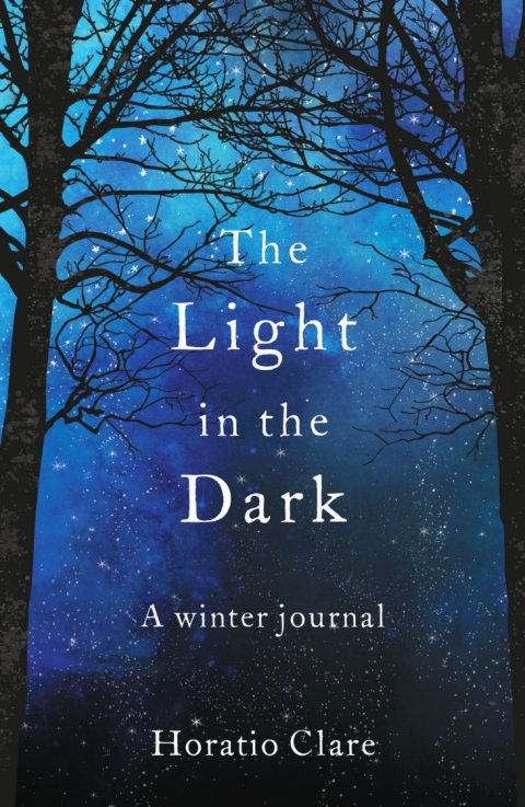 Cover image for book The Light in the Dark