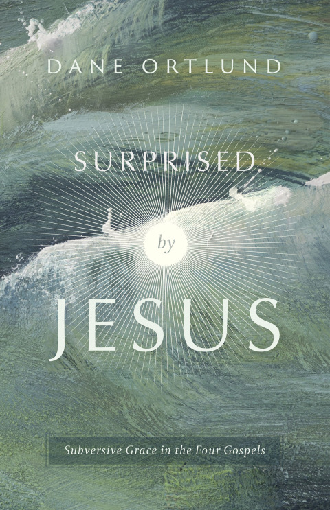 Cover image for book Surprised by Jesus: Subversive Grace in the Four Gospels