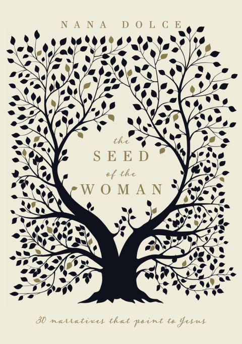 Cover image for book The Seed of the Woman: 30 narratives that point to Jesus