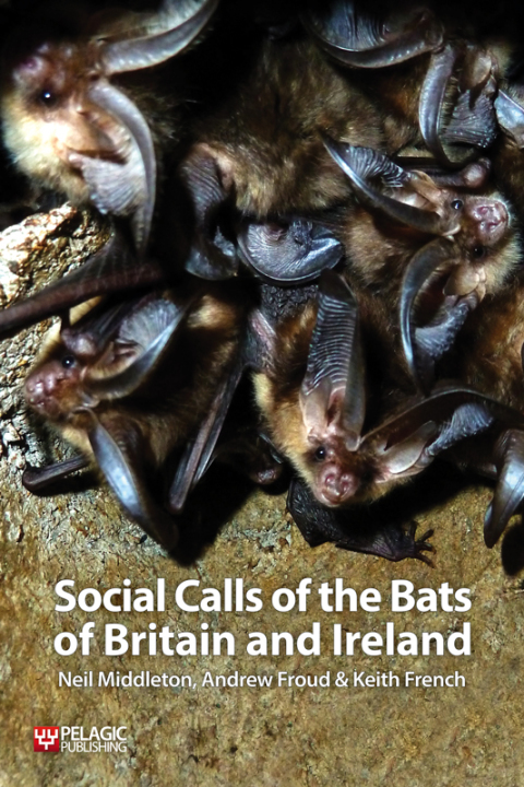 Cover image for book Social Calls of the Bats of Britain and Ireland
