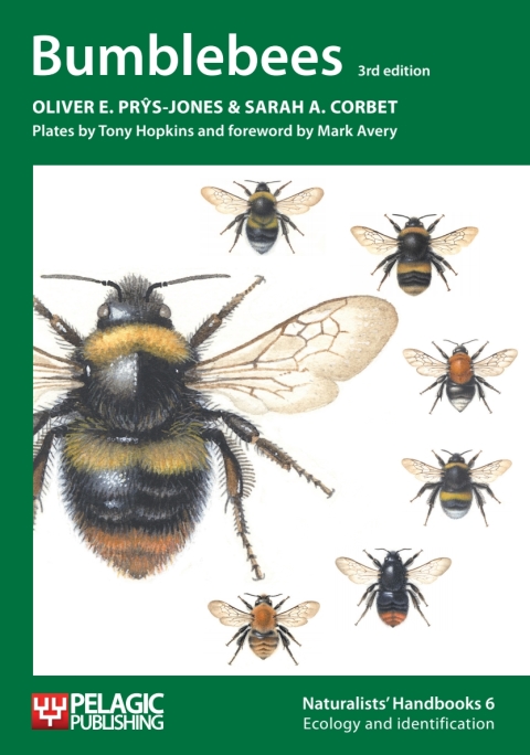Cover image for book Bumblebees