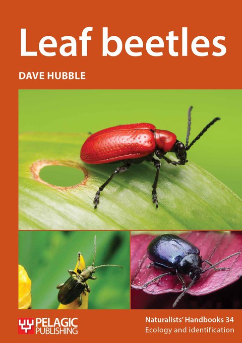 Cover image for book Leaf beetles