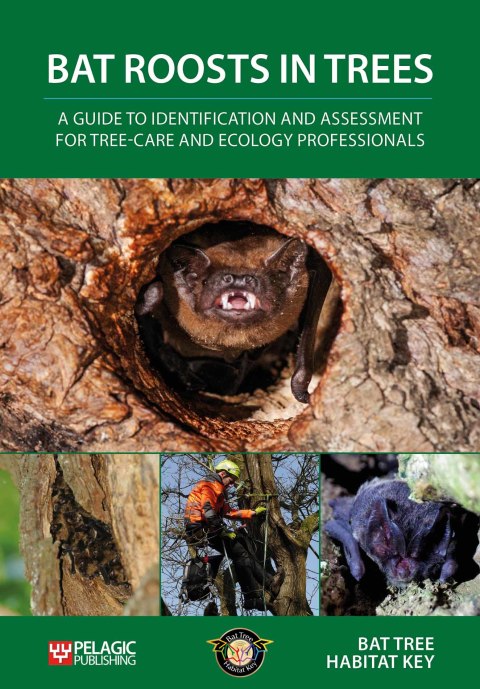 Cover image for book Bat Roosts in Trees