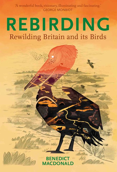 Cover image for book Rebirding