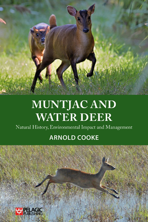 Muntjac and Water Deer 