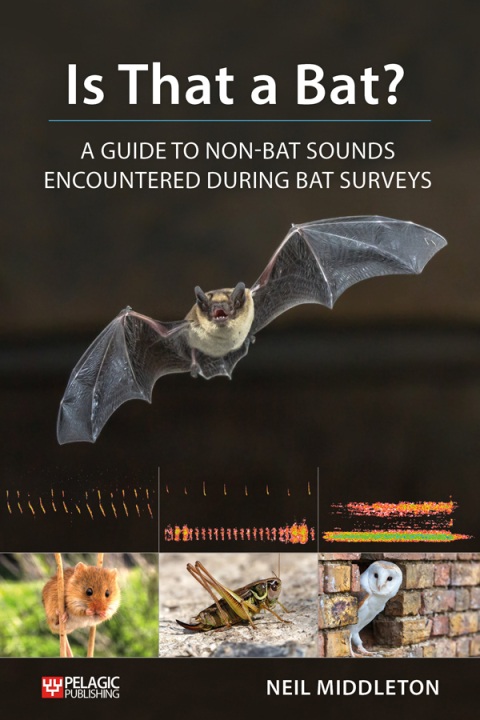 Cover image for book Is That a Bat?
