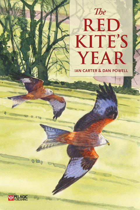 The Red Kiteâs Year 