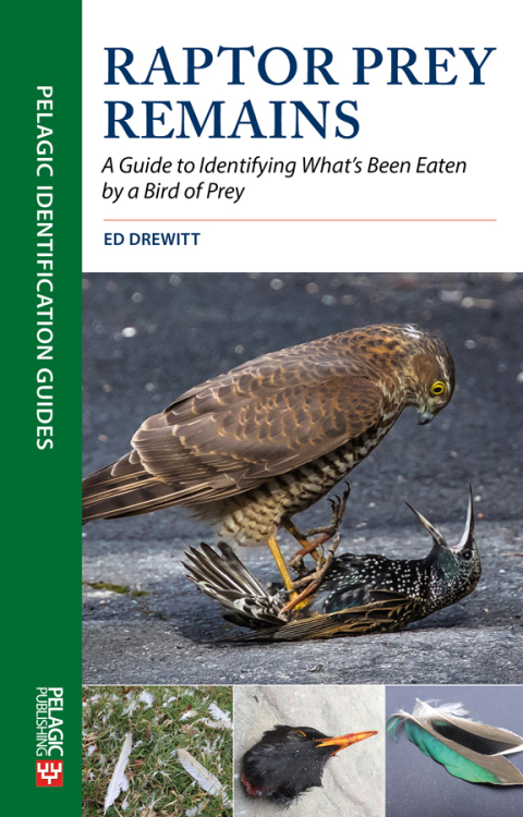 Cover image for book Raptor Prey Remains