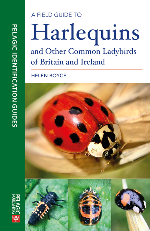 A Field Guide to Harlequins and Other Common Ladybirds of Britain and Ireland 