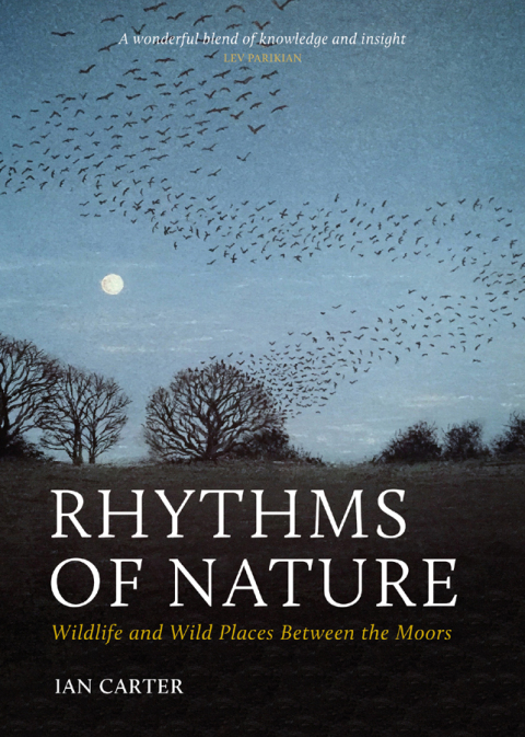 Rhythms of Nature 