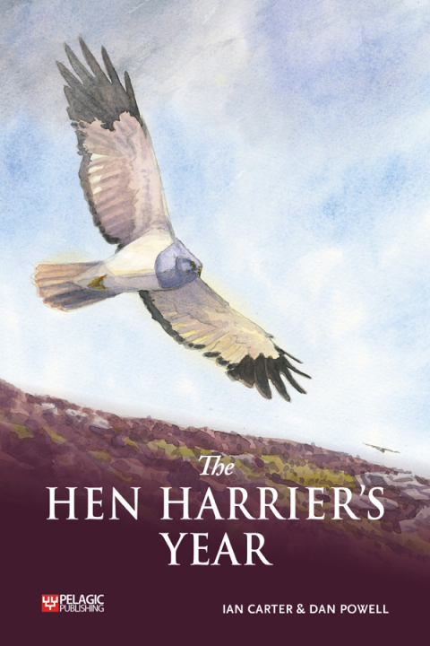 The Hen Harrier's Year 