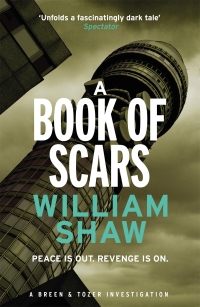 Cover image: A Book of Scars 9781782064275