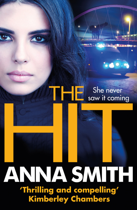 Cover image for book The Hit