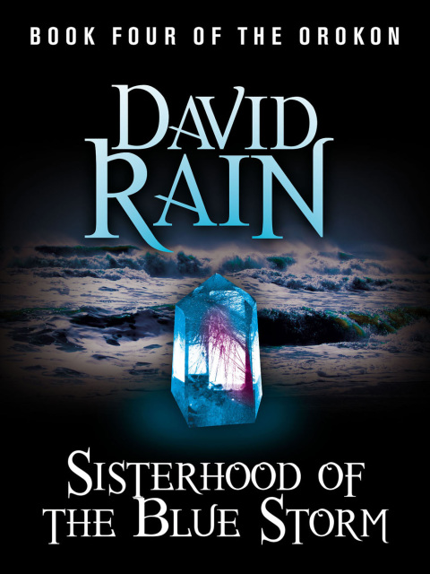Cover image for book Sisterhood of the Blue Storm