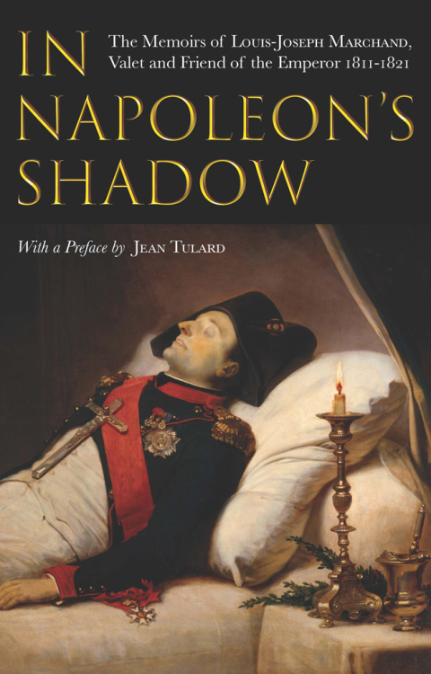 Cover image for book In Napoleon's Shadow