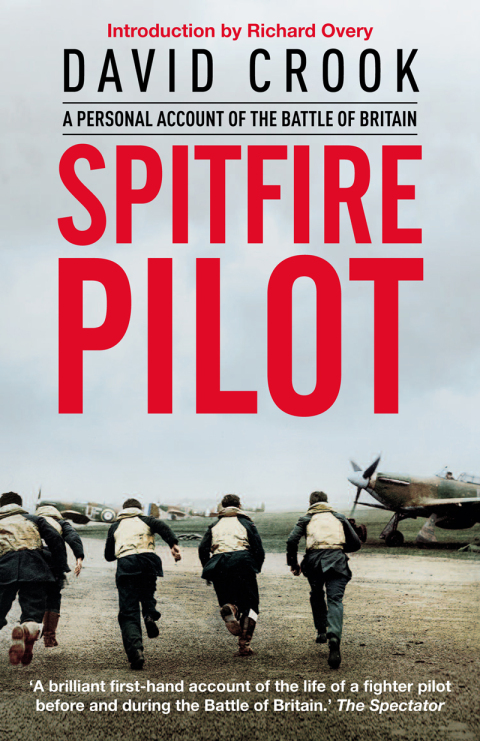 Spitfire Pilot 