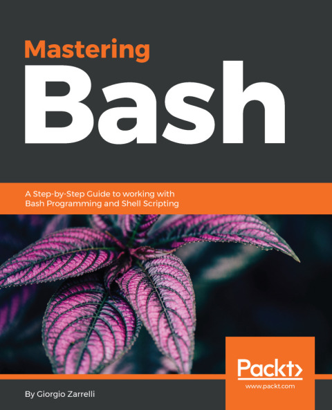 Cover image for book Mastering Bash
