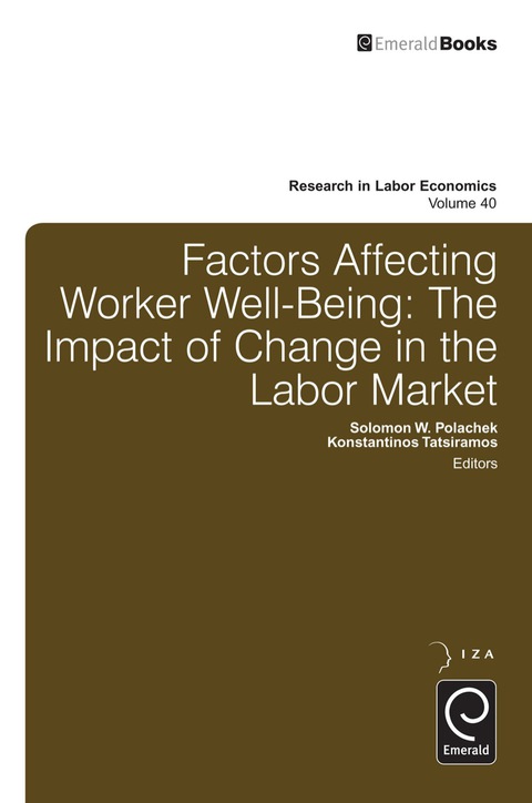 Cover image for book Factors Affecting Worker Well-Being