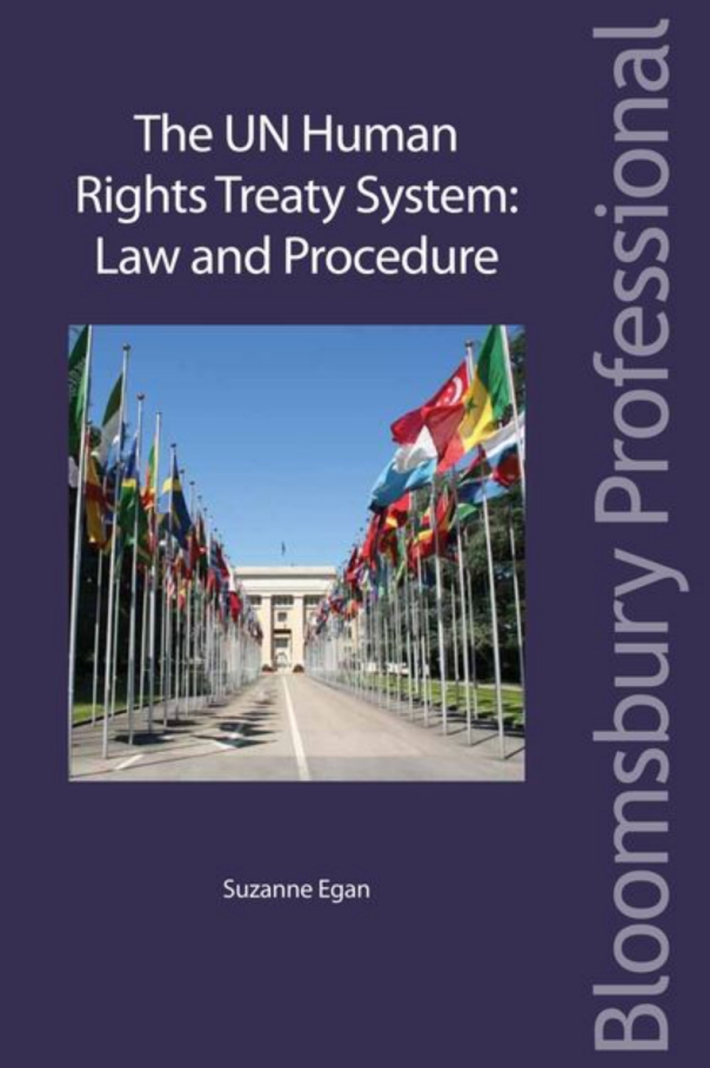 The UN Human Rights Treaty System - 1st Edition (eBook)