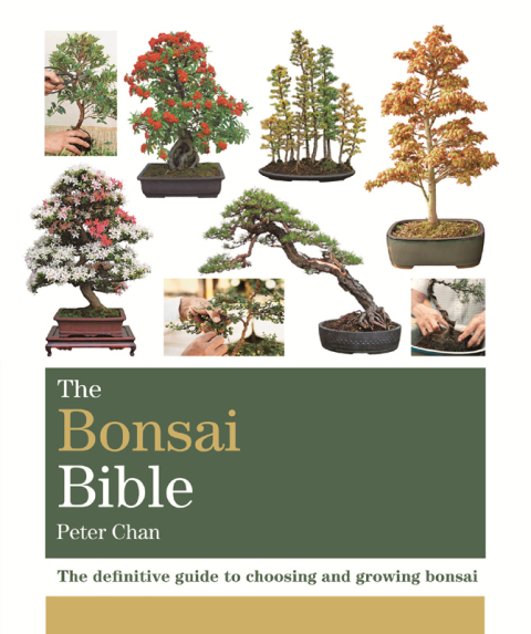 Cover image for book The Bonsai Bible