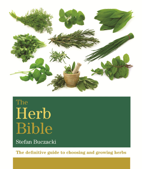Cover image for book The Herb Bible