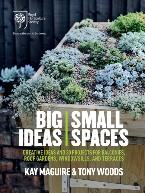 Cover image for book RHS Big Ideas, Small Spaces