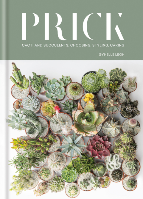 Cover image for book Prick